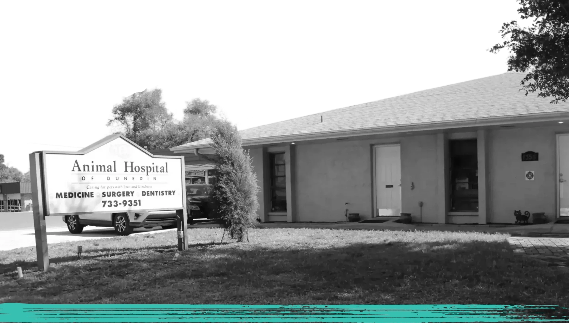 Welcome to Animal Hospital of Dunedin